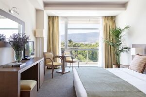 Deluxe Twin / Double Room